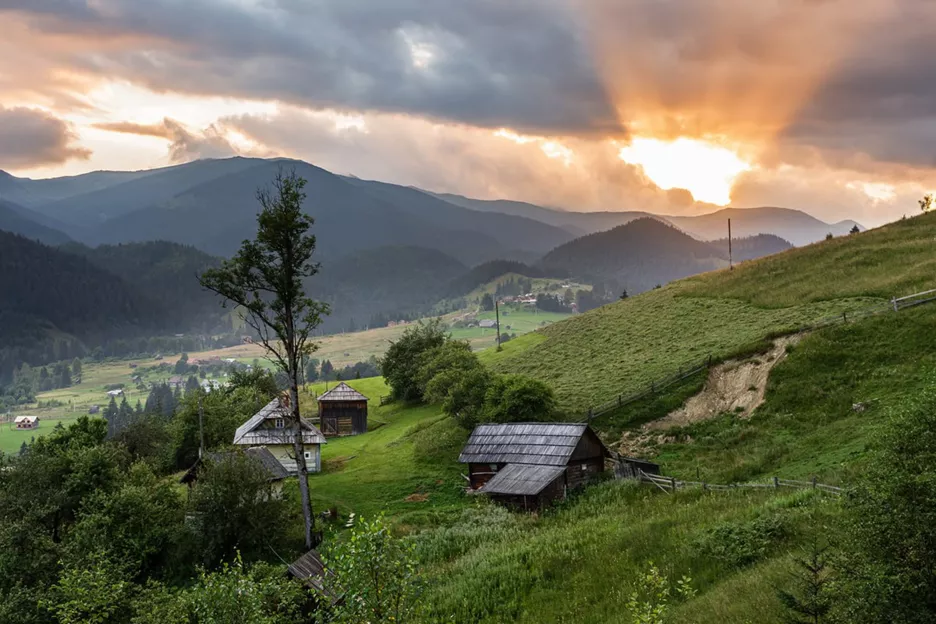 Фото: соціальні мережі