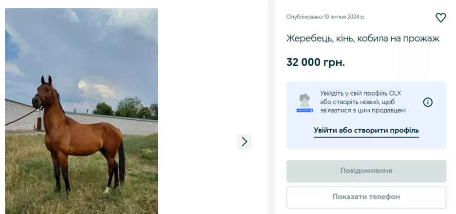 Гнідий жеребець за 32 000 грн.