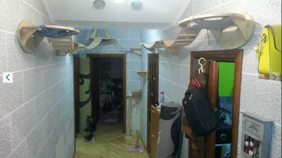 Фото: Скриншот