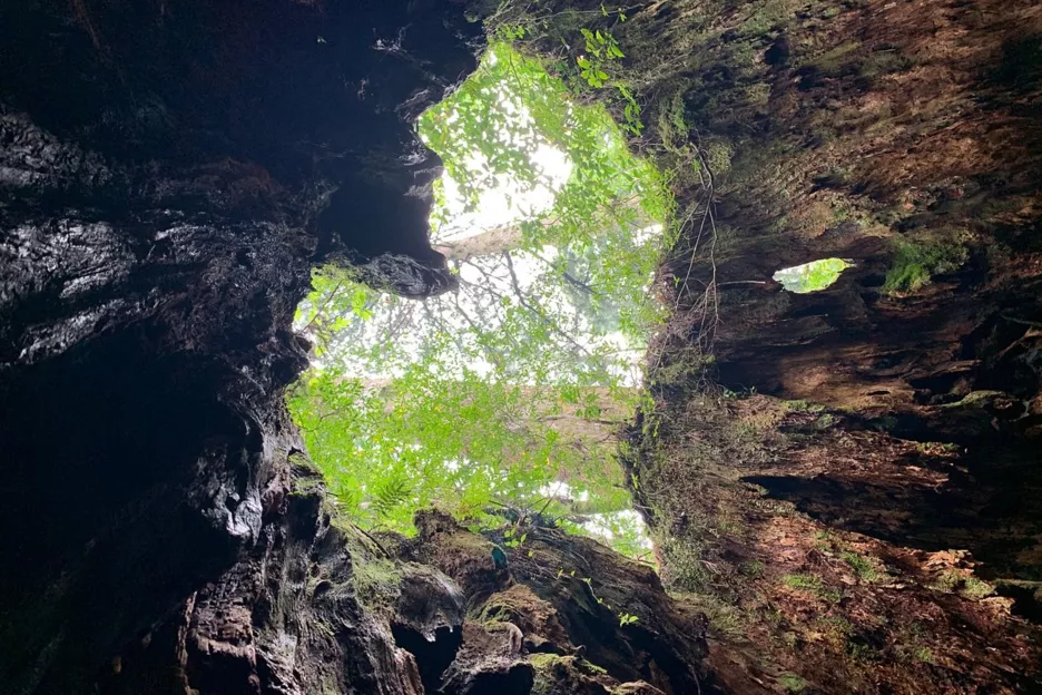 Фото: Tripadvisor