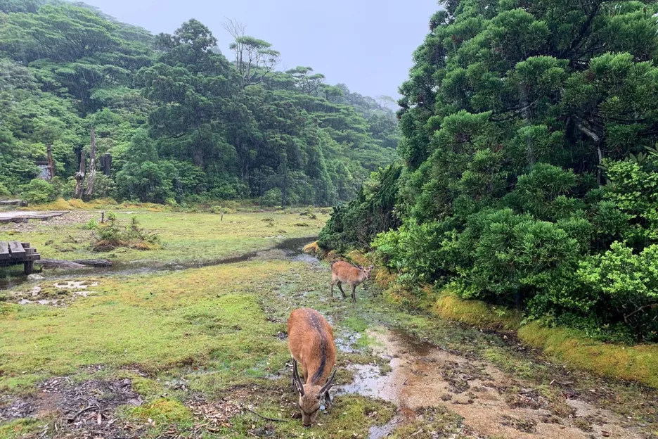 Фото: Tripadvisor