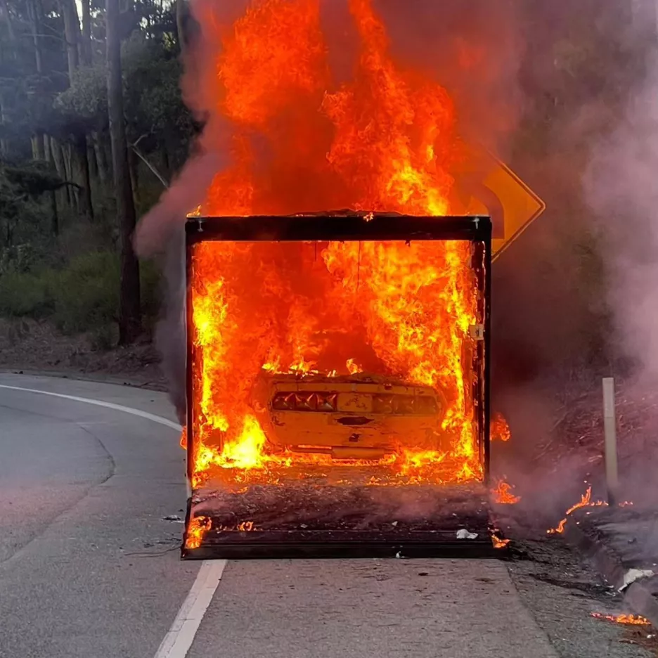 Фото: scottgrundforcompany/Instagram