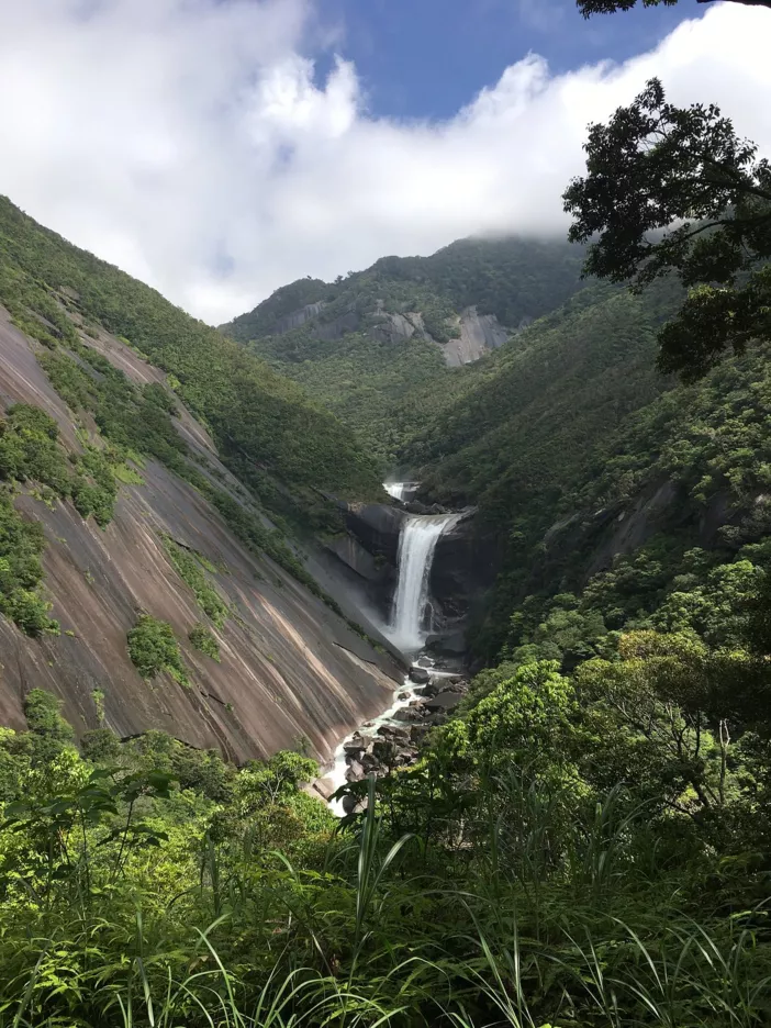 Фото: Tripadvisor
