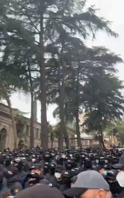 Протесты в Тбилиси Фото: Скриншот