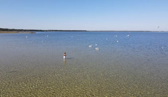 Фото: Скриншот, Google Maps