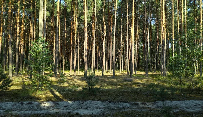 Фото: Скриншот, Google Maps