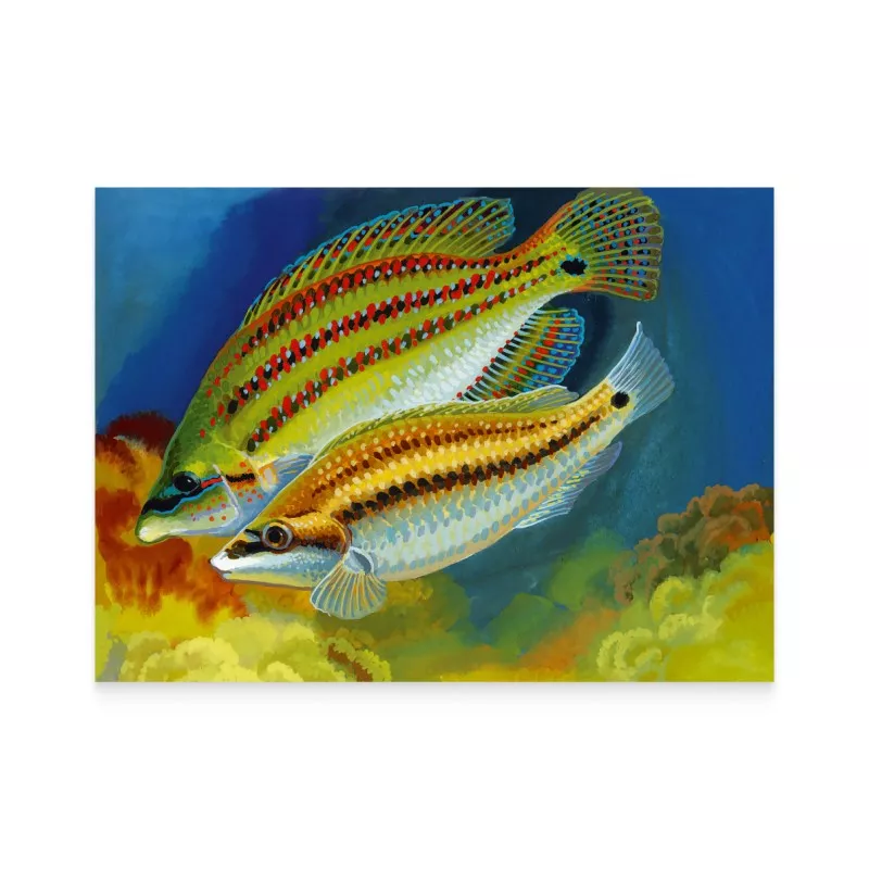 Фото: Укрпошта