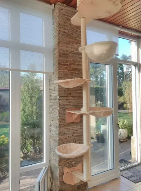 Фото: Скриншот