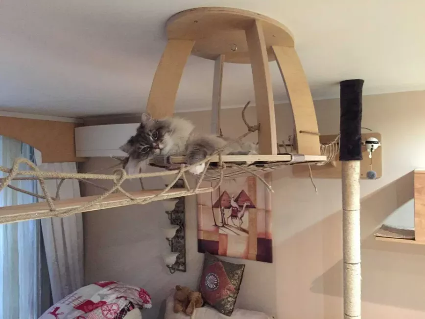 Фото: Скриншот