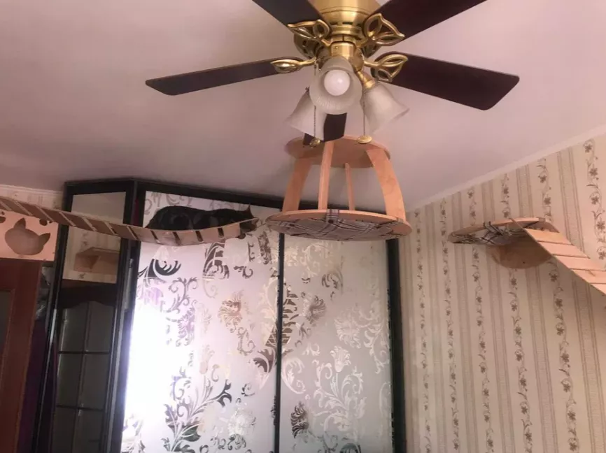 Фото: Скриншот