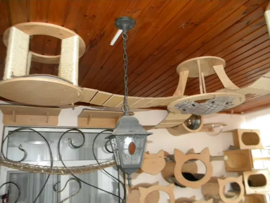 Фото: Скриншот