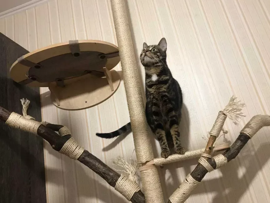 Фото: Скриншот