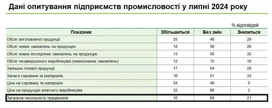 Дані опитування підприємств промисловості у липні 2024 року.